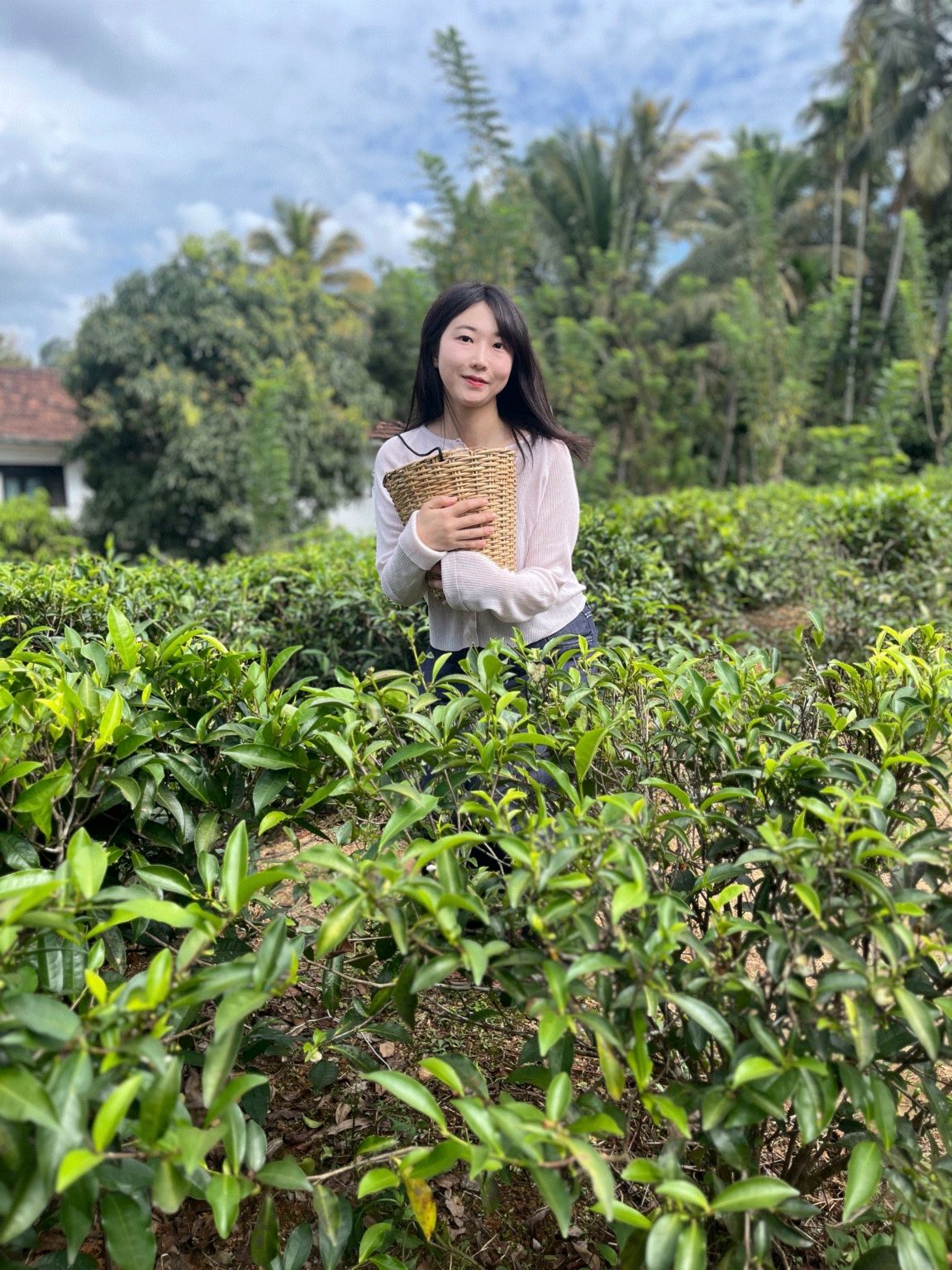 박소하