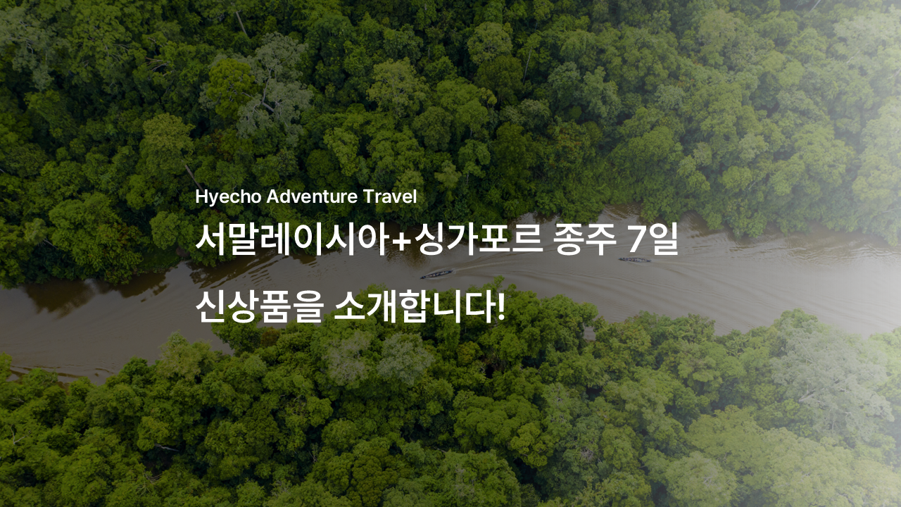 /upload/hyecho/file/bd1100/202604/hyecho_cm9910_30010671.png