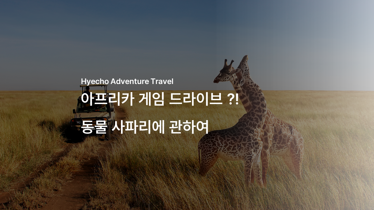 /upload/hyecho/file/bd1100/202604/hyecho_cm9910_30010694.png
