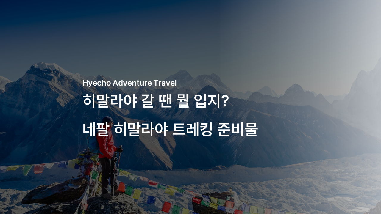 /upload/hyecho/file/bd1100/202605/hyecho_cm9910_30010917.png