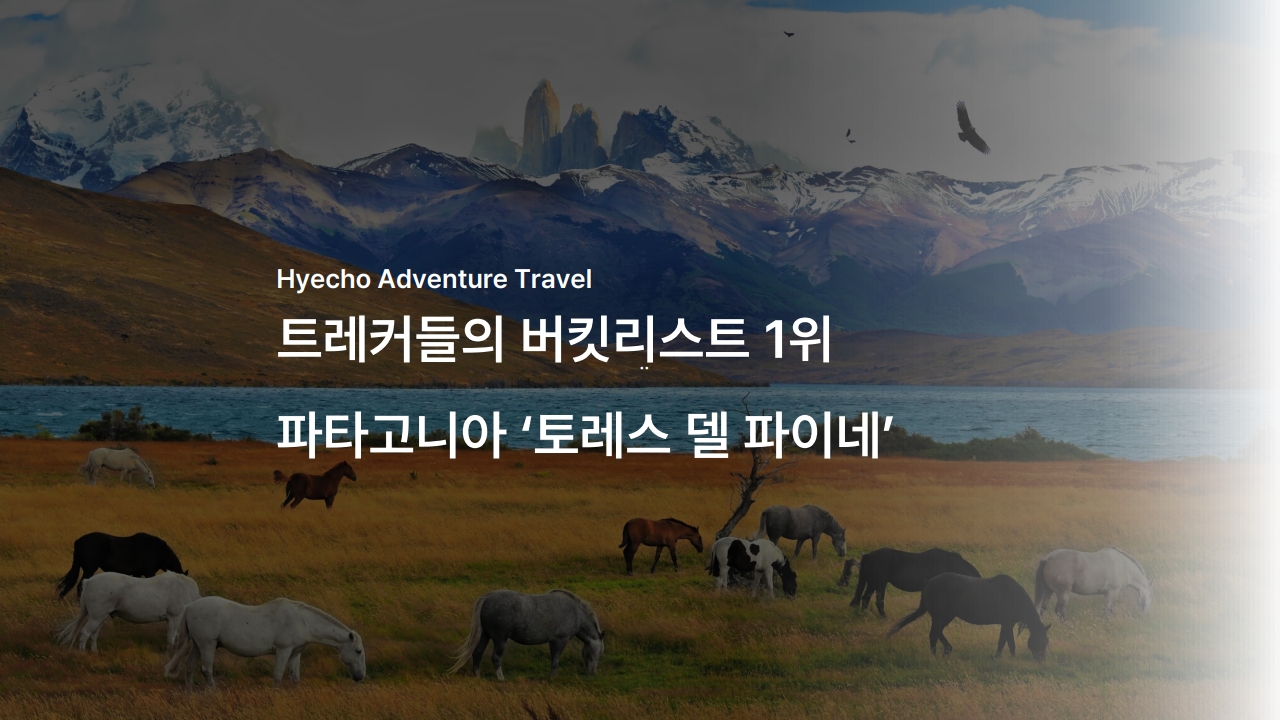 /upload/hyecho/file/bd1100/202605/hyecho_cm9910_30011199.jpg