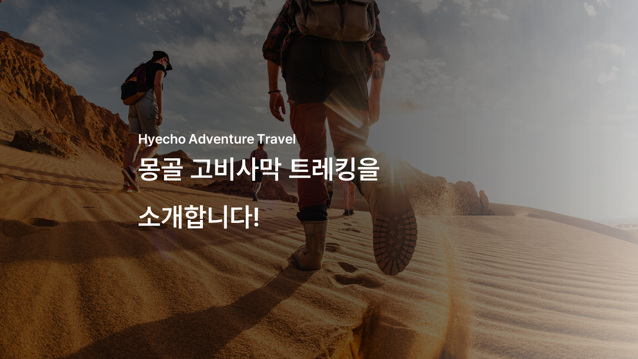 /upload/hyecho/file/bd1100/202605/hyecho_cm9910_30011297.png