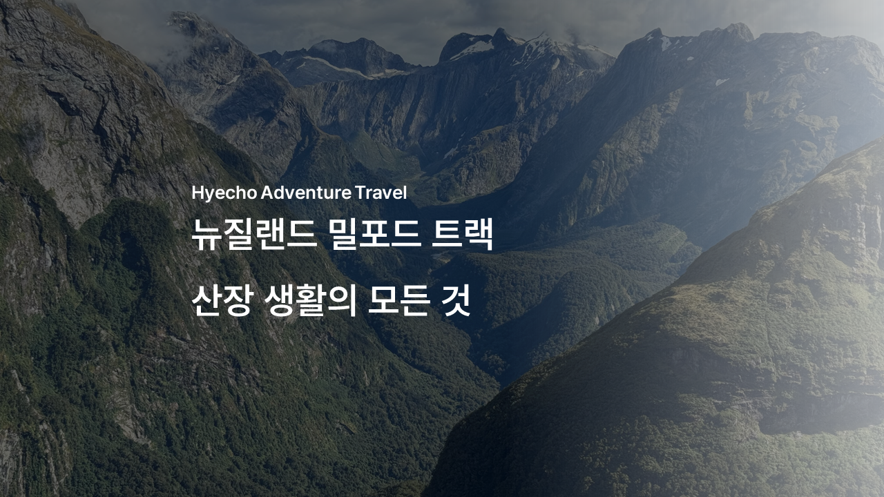 /upload/hyecho/file/bd1100/202605/hyecho_cm9910_30011626.png