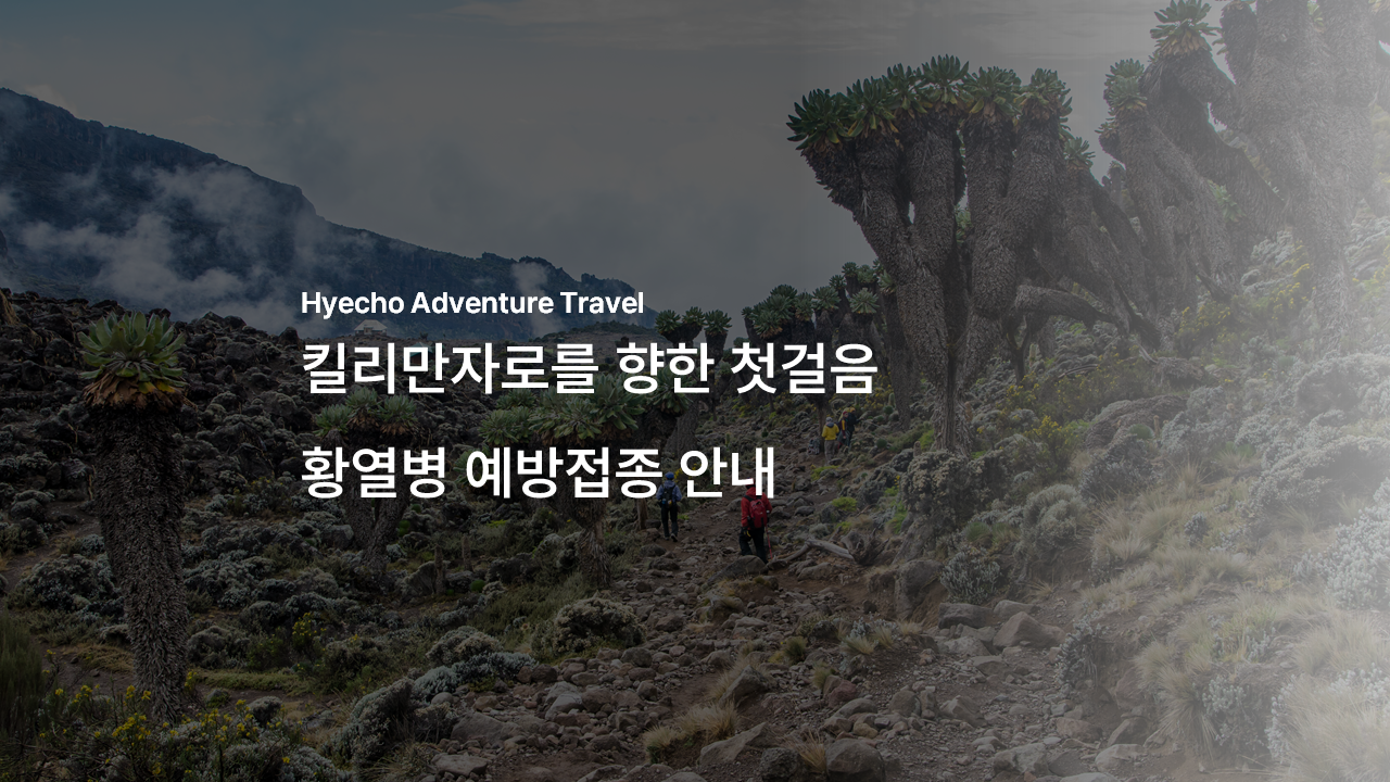/upload/hyecho/file/bd1100/202606/hyecho_cm9910_30013654.png