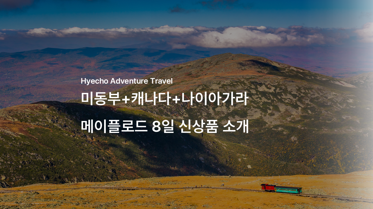 /upload/hyecho/file/bd1100/202606/hyecho_cm9910_30013788.png