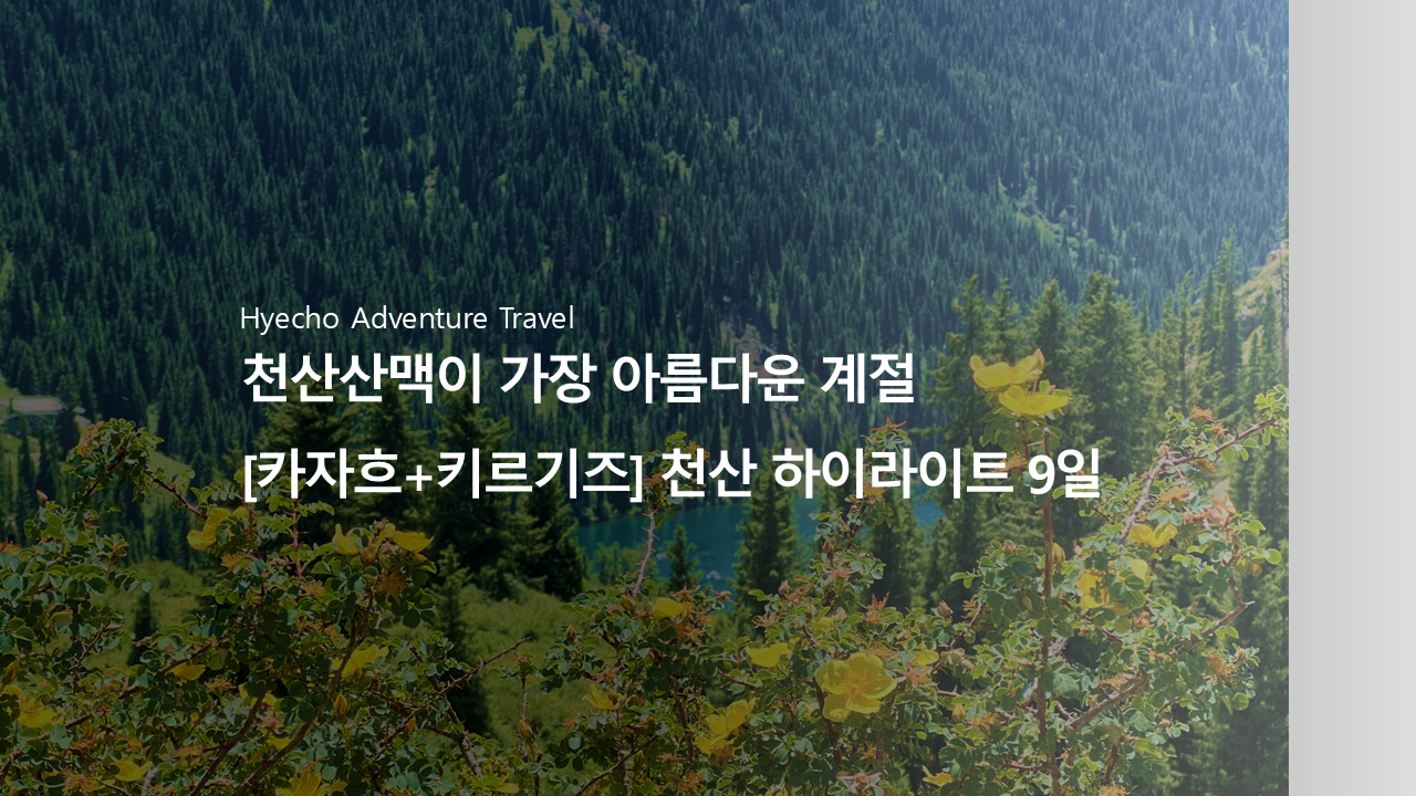 /upload/hyecho/file/bd1100/202606/hyecho_cm9910_30014510.png