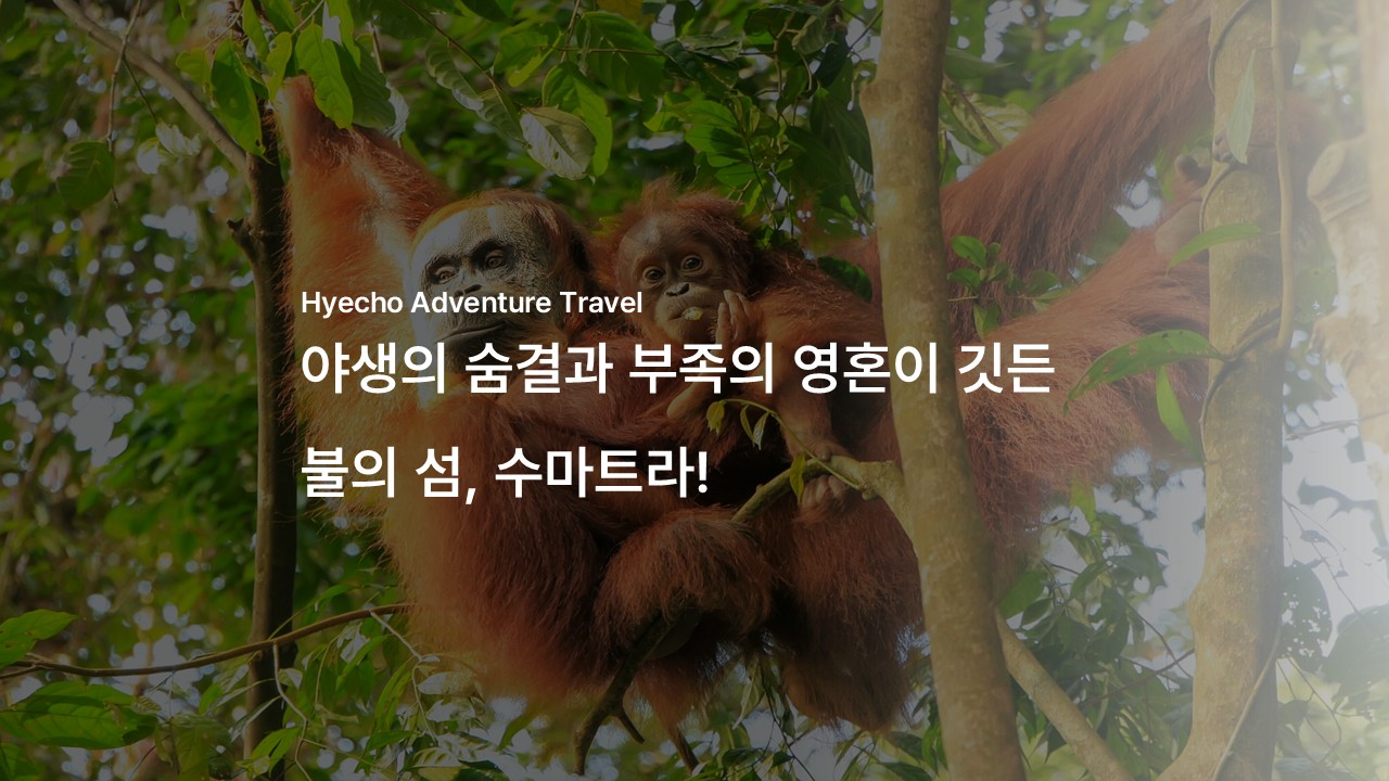 /upload/hyecho/file/bd1100/202607/hyecho_cm9910_30015827.jpg