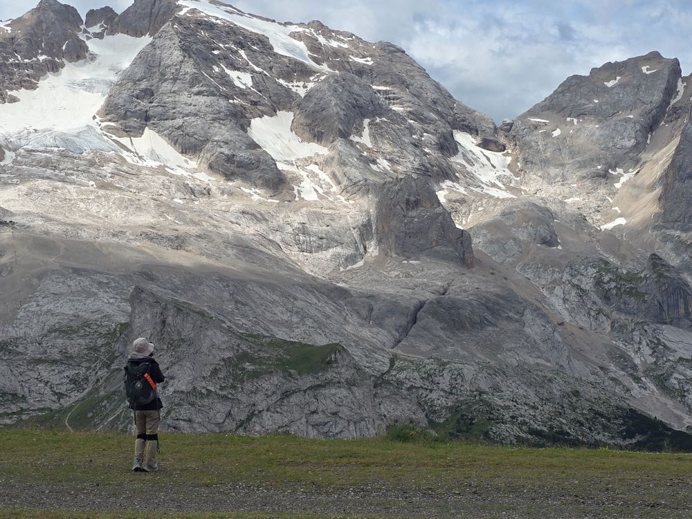 20493.jpg