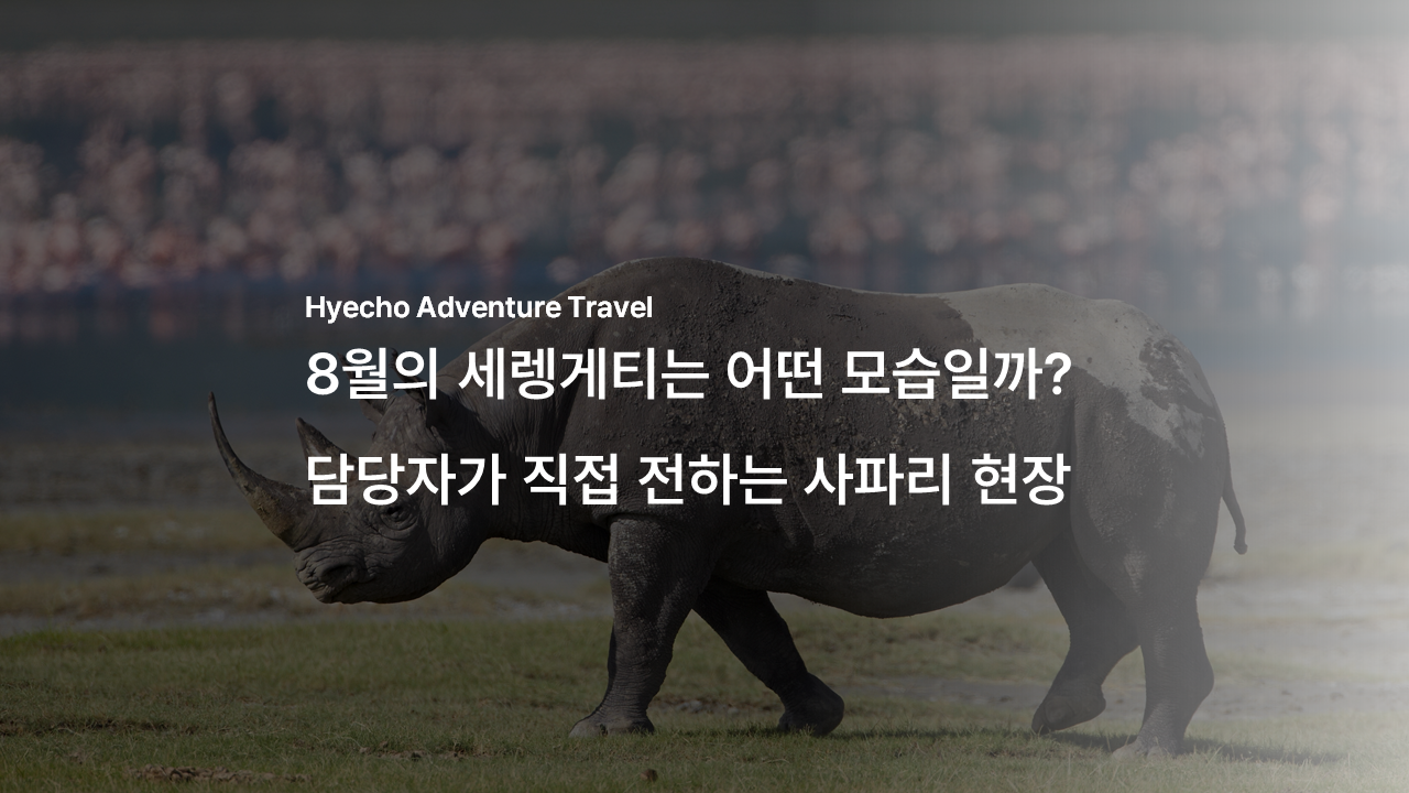 /upload/hyecho/file/bd1100/202608/hyecho_cm9910_30022111.png