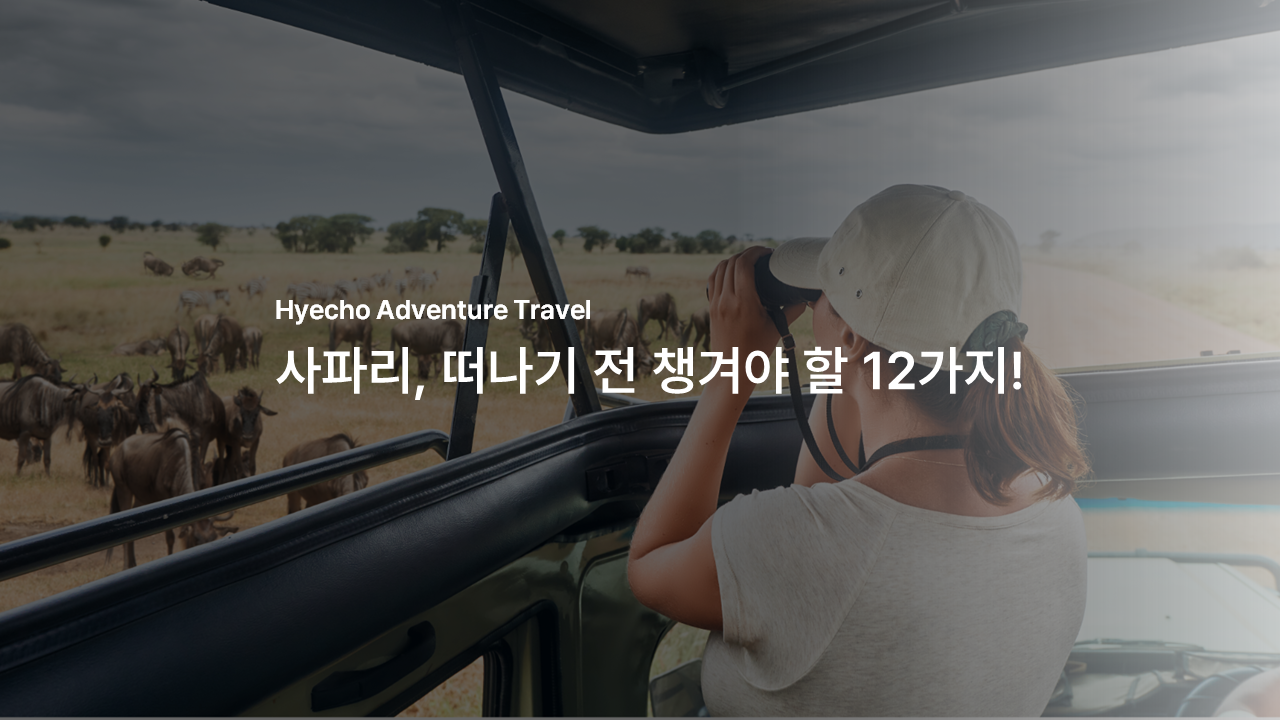 /upload/hyecho/file/bd1100/202608/hyecho_cm9910_30022112.png