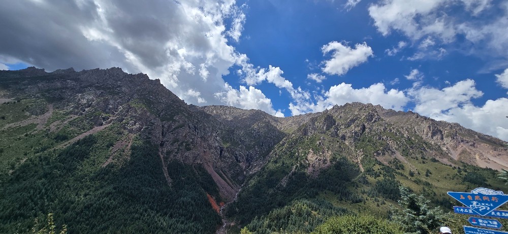 20260803_115404.jpg
