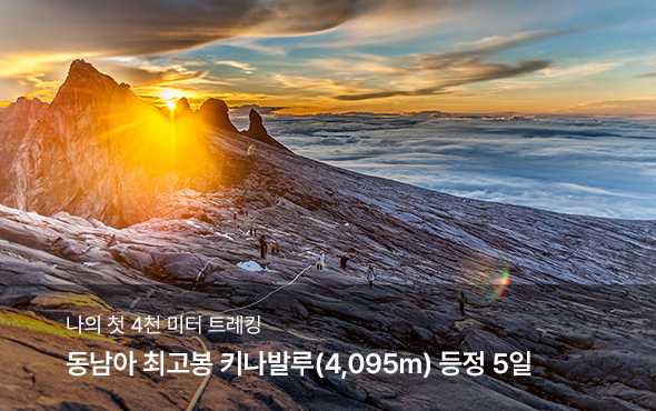 /upload/hyecho/file/we1100/202604/hyecho_cm9910_30010472.jpg