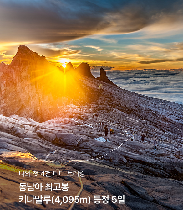 /upload/hyecho/file/we1100/202604/hyecho_cm9910_30010473.jpg