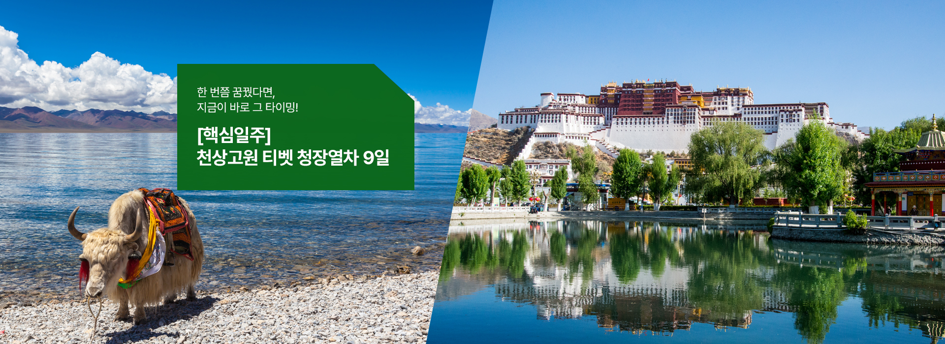 /upload/hyecho/file/we1100/202604/hyecho_cm9910_30010649.jpg