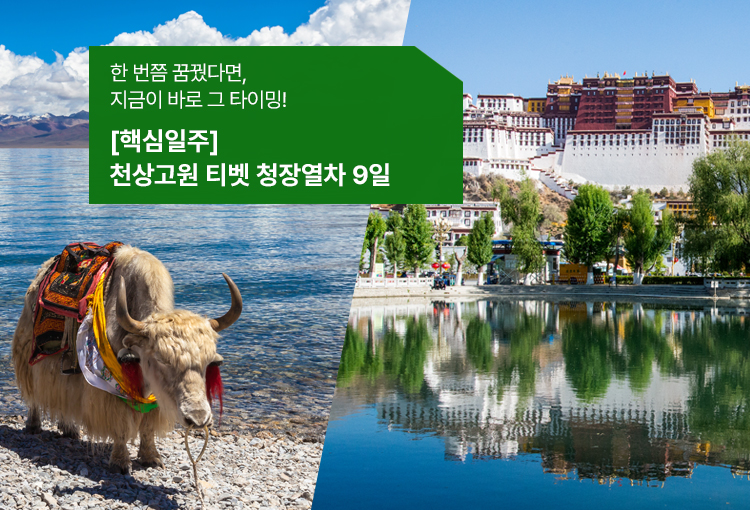 /upload/hyecho/file/we1100/202604/hyecho_cm9910_30010650.jpg