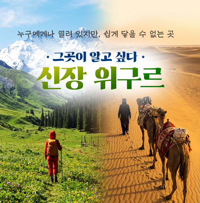 /upload/hyecho/file/we1100/202605/hyecho_cm9910_30011476.jpg