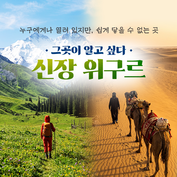 /upload/hyecho/file/we1100/202605/hyecho_cm9910_30011477.jpg