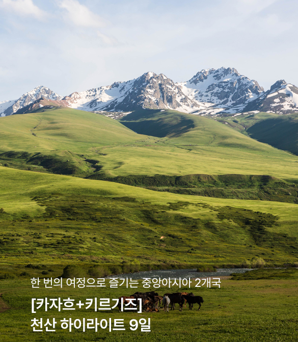 /upload/hyecho/file/we1100/202606/hyecho_cm9910_30013088.jpg