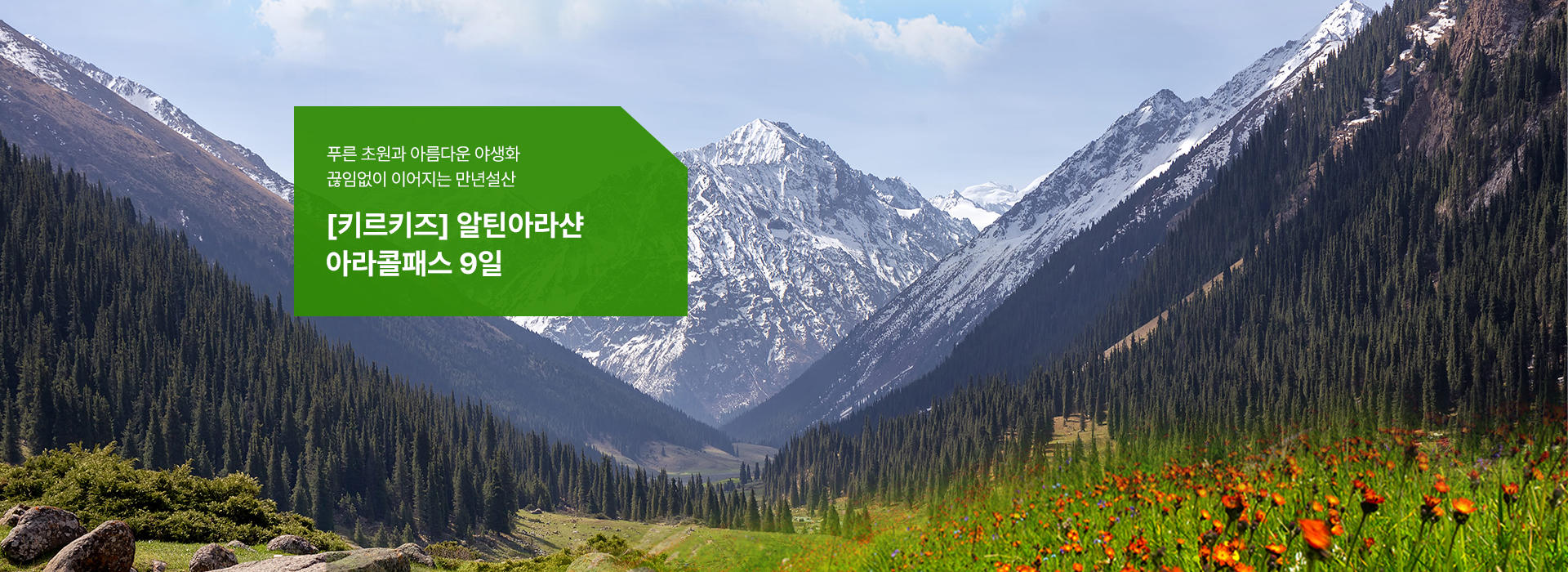 /upload/hyecho/file/we1100/202606/hyecho_cm9910_30013389.jpg