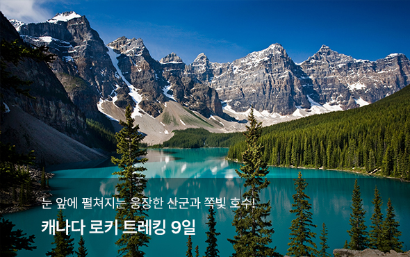 /upload/hyecho/file/we1100/202606/hyecho_cm9910_30013983.jpg