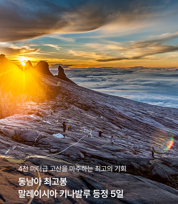 /upload/hyecho/file/we1100/202606/hyecho_cm9910_30014147.jpg