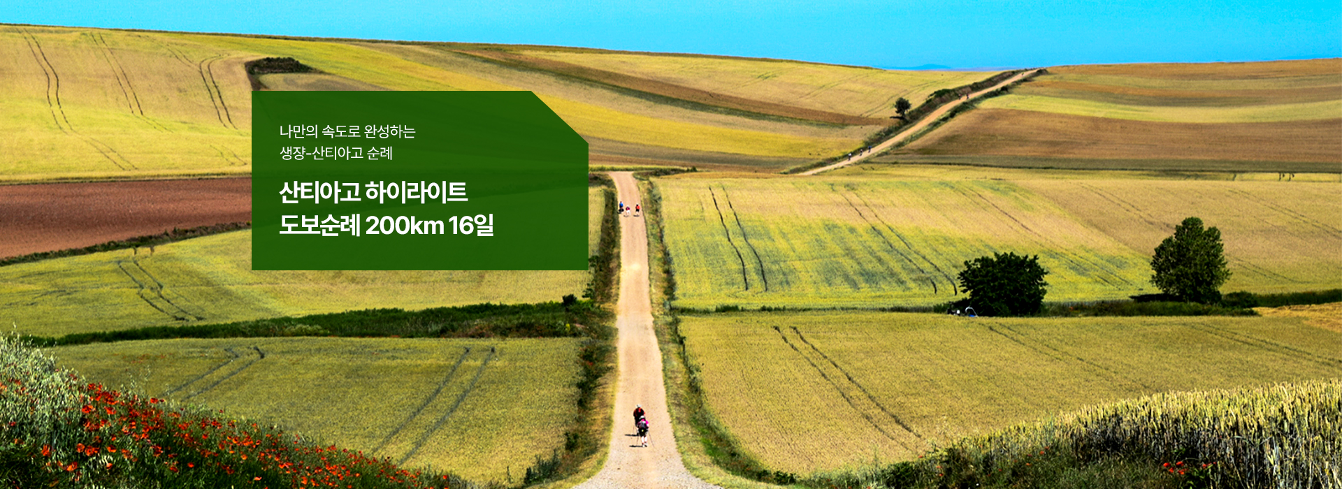 /upload/hyecho/file/we1100/202606/hyecho_cm9910_30015317.jpg