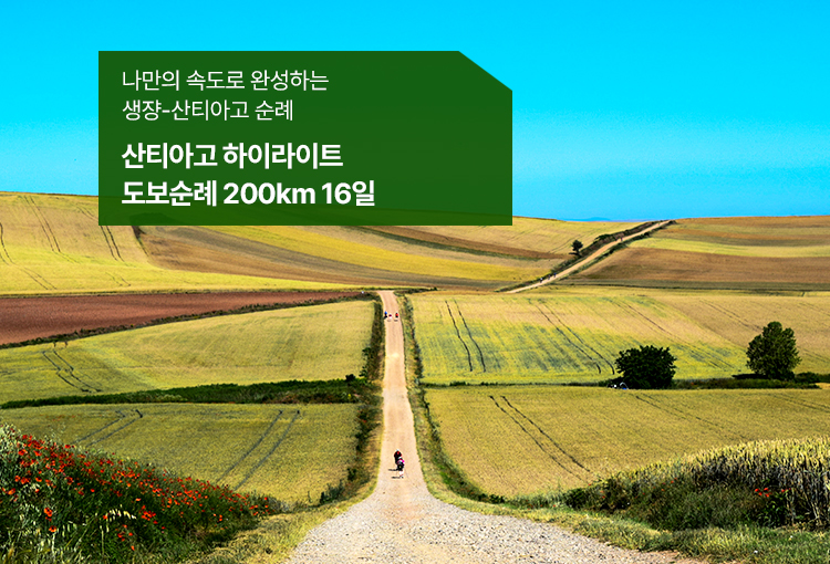 /upload/hyecho/file/we1100/202606/hyecho_cm9910_30015318.jpg