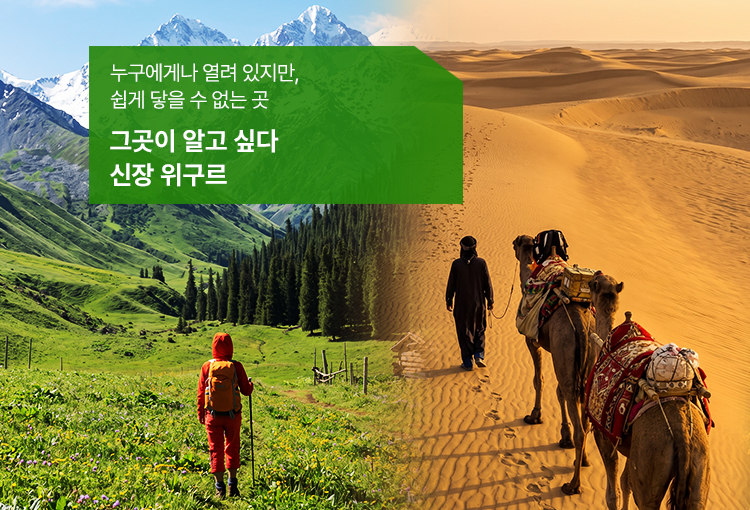/upload/hyecho/file/we1100/202606/hyecho_cm9910_30015324.jpg