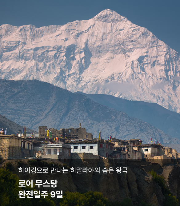 /upload/hyecho/file/we1100/202606/hyecho_cm9910_30015338.jpg
