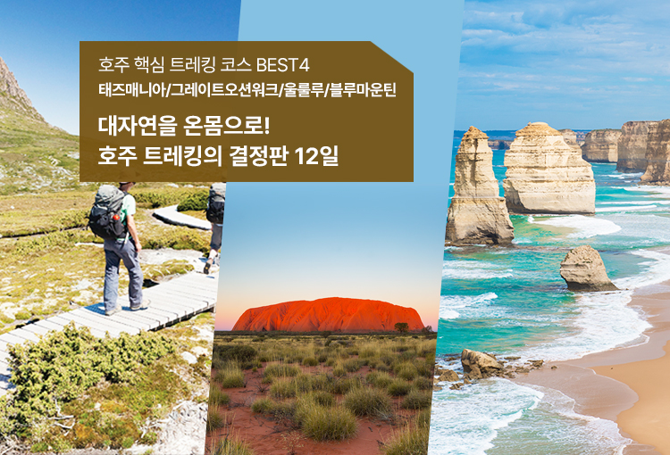 /upload/hyecho/file/we1100/202606/hyecho_cm9910_30015395.jpg