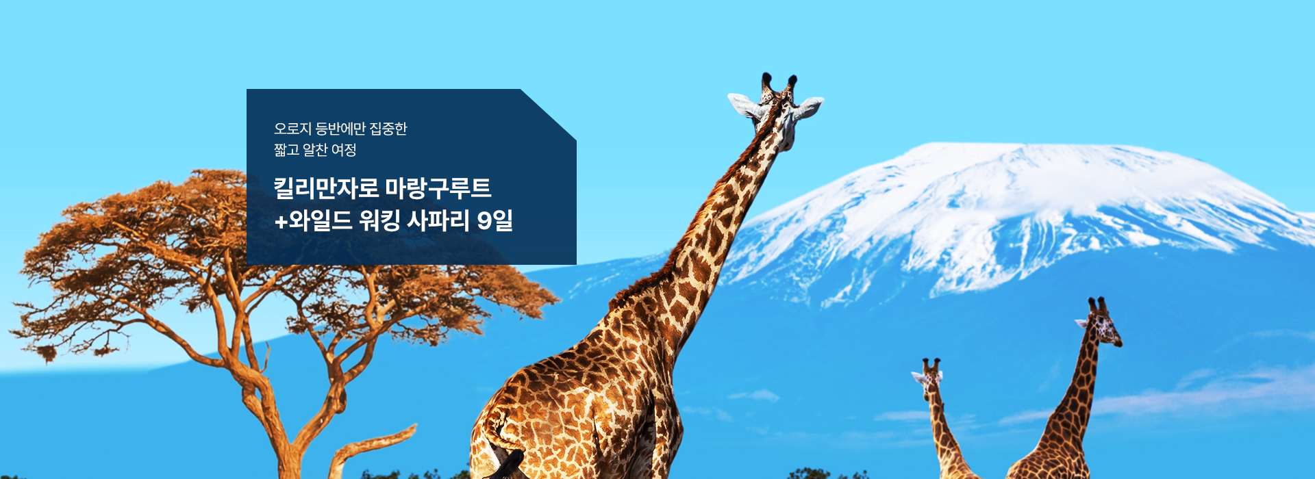 /upload/hyecho/file/we1100/202607/hyecho_cm9910_30018888.jpg