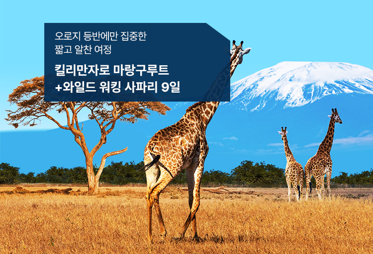 /upload/hyecho/file/we1100/202607/hyecho_cm9910_30018889.jpg