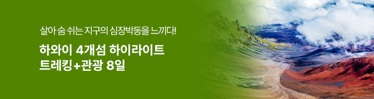 /upload/hyecho/file/we1100/202607/hyecho_cm9910_30018902.jpg
