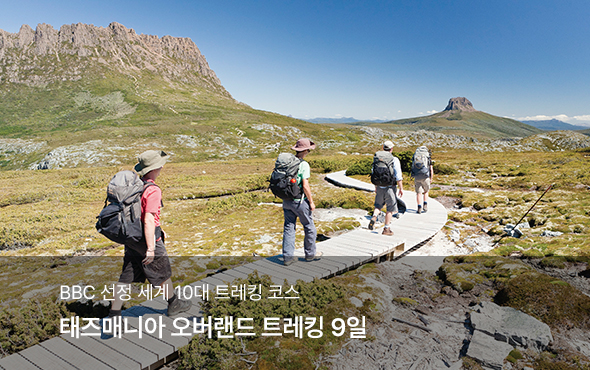 /upload/hyecho/file/we1100/202608/hyecho_cm9910_30019268.jpg