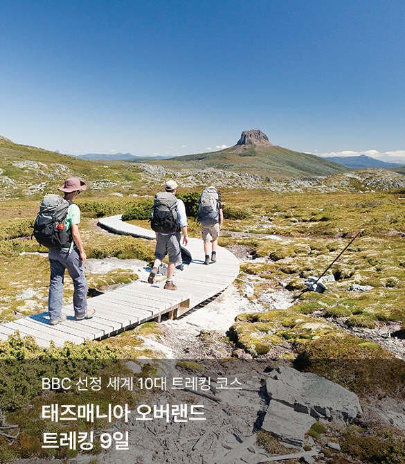 /upload/hyecho/file/we1100/202608/hyecho_cm9910_30019269.jpg