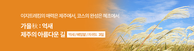 /upload/hyecho/file/we1100/202608/hyecho_cm9910_30020070.jpg