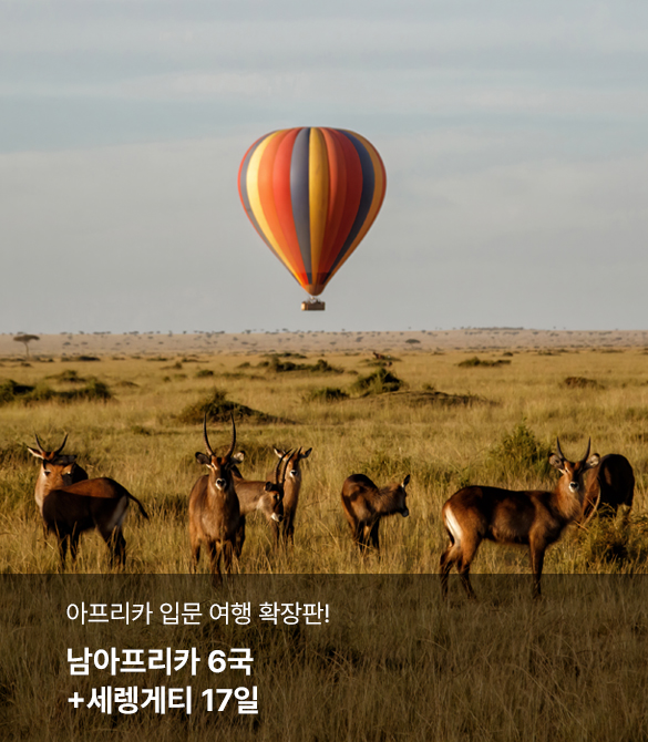 /upload/hyecho/file/we1100/202608/hyecho_cm9910_30021727.jpg