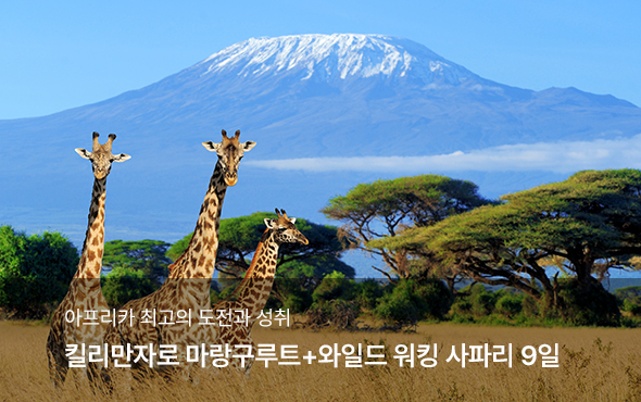 /upload/hyecho/file/we1100/202608/hyecho_cm9910_30022052.jpg