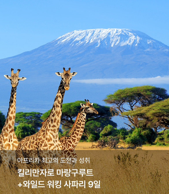 /upload/hyecho/file/we1100/202608/hyecho_cm9910_30022053.jpg