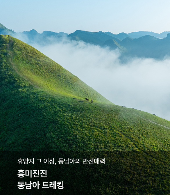 /upload/hyecho/file/we1100/202608/hyecho_cm9910_30022060.jpg