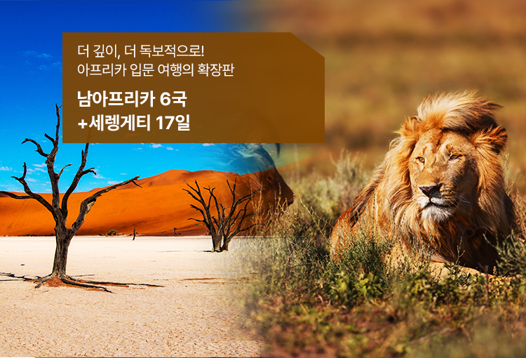 /upload/hyecho/file/we1100/202609/hyecho_cm9910_30024345.jpg