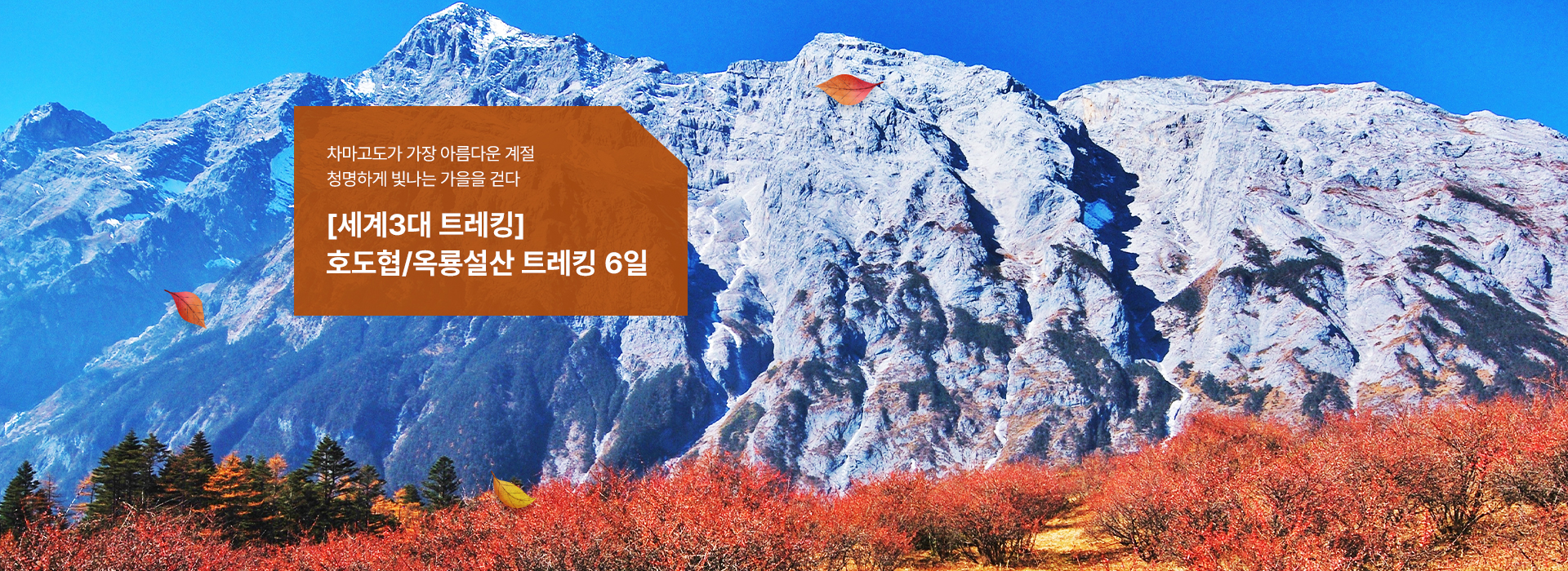 /upload/hyecho/file/we1100/202609/hyecho_cm9910_30024418.jpg