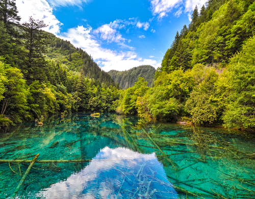 구채구/황룡/비평구 트레킹 6일