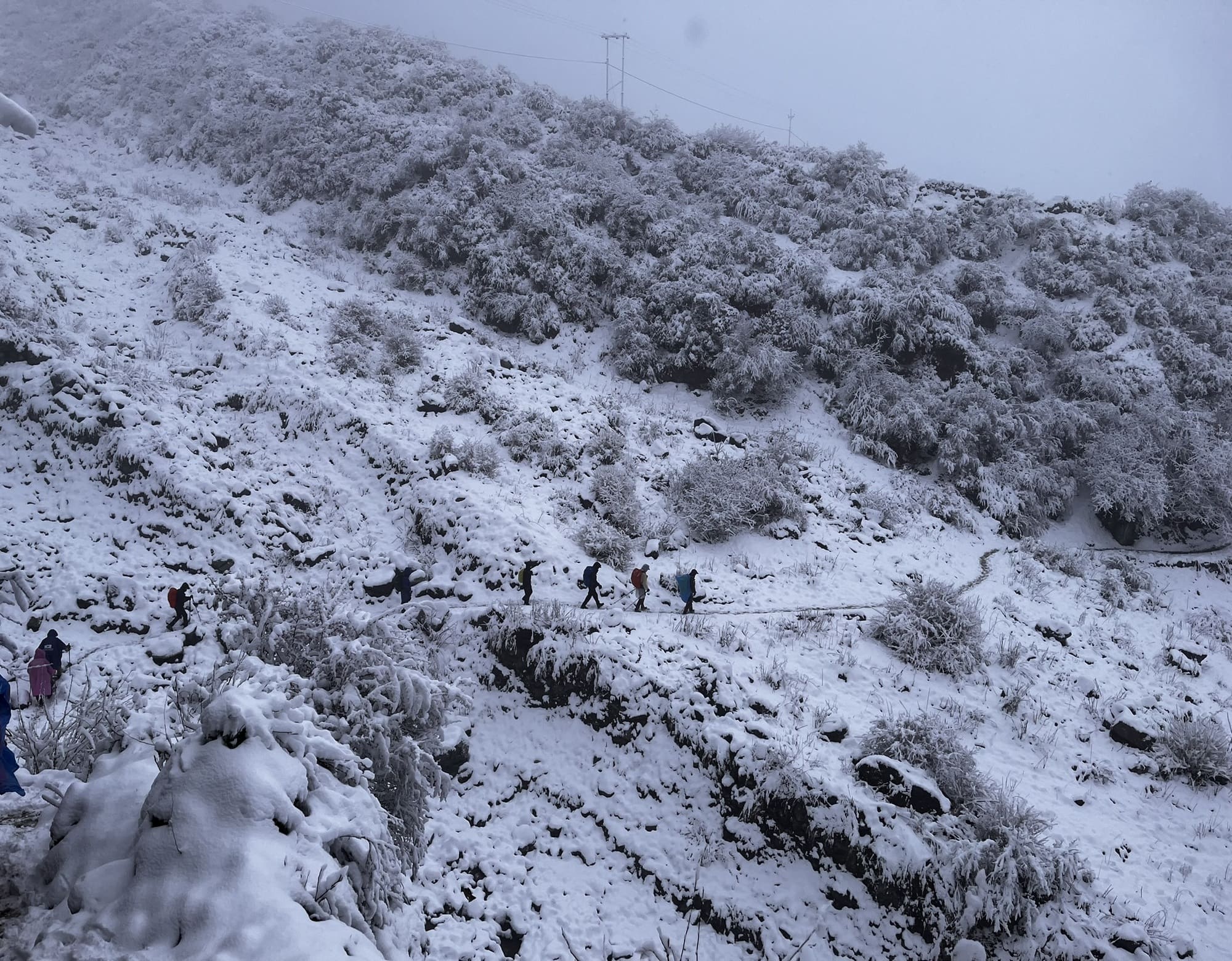 [랑탕] 라우레비나 패스(4,610m)+헬기하산 13일