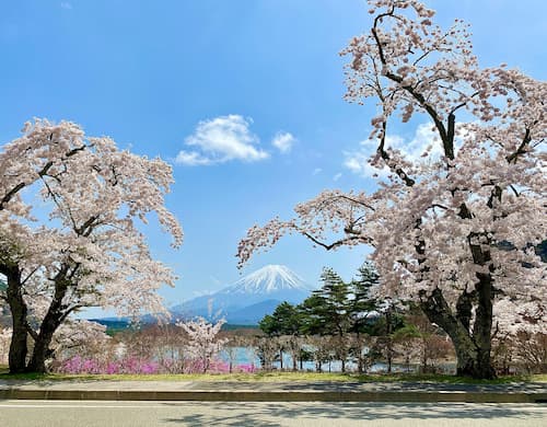 [하이라이트]일본의 옛길, 나카센도+후지산둘레길 5일