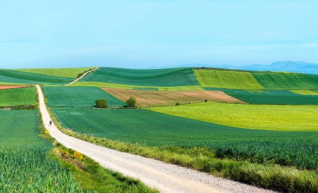 [산티아고] 하이라이트 도보순례 16일